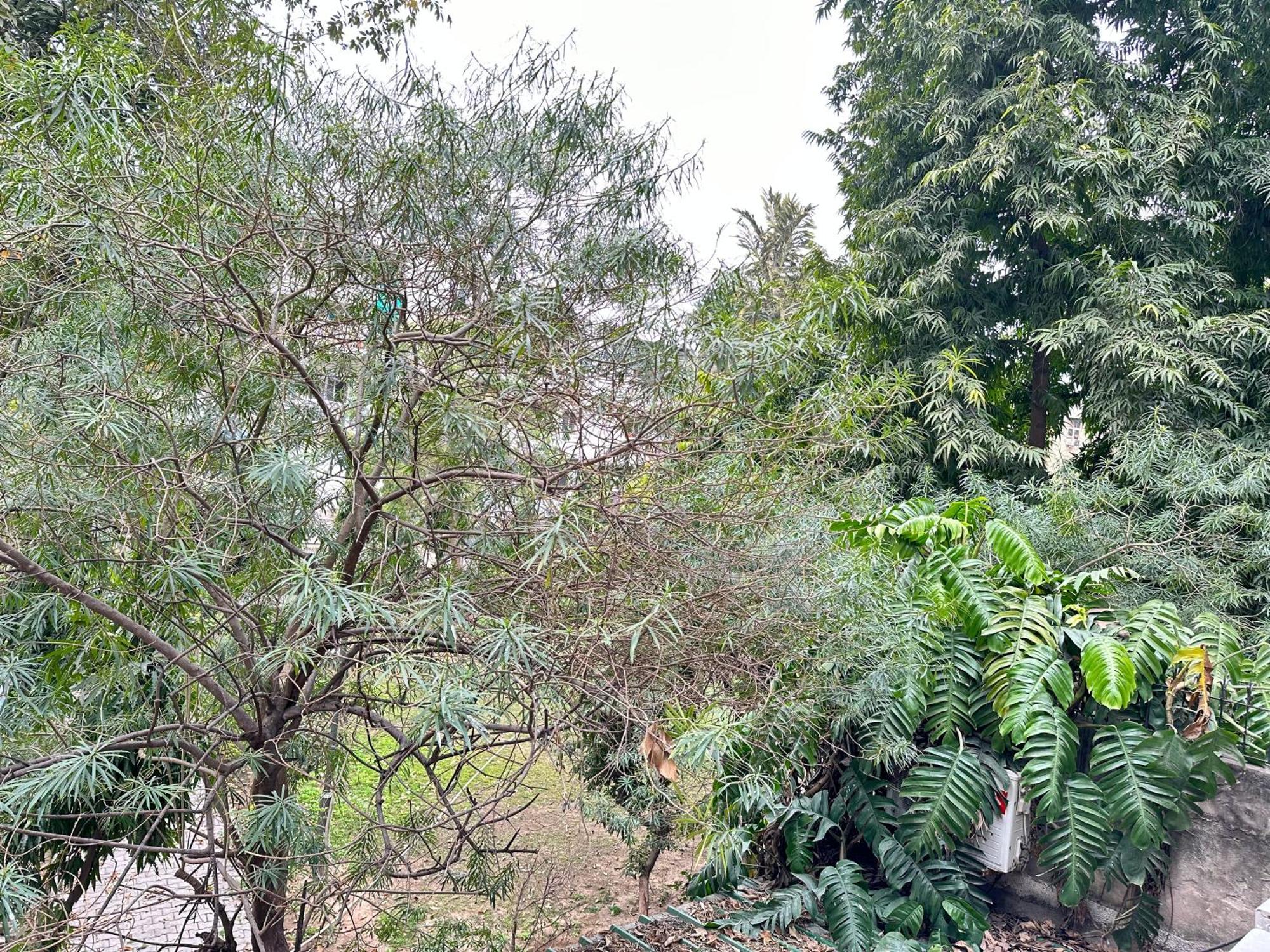 Grove Residency Hauz Khas New Delhi Couple Friendly Hotel ภายนอก รูปภาพ